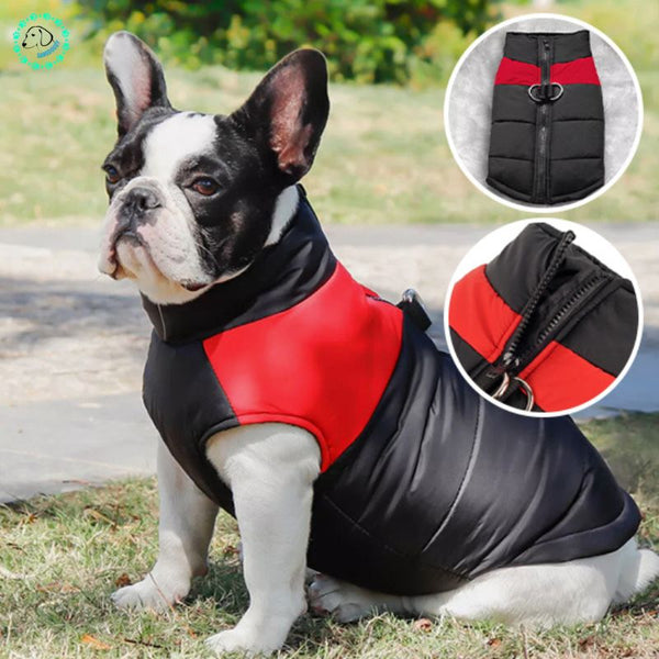 manteau-pour-chien