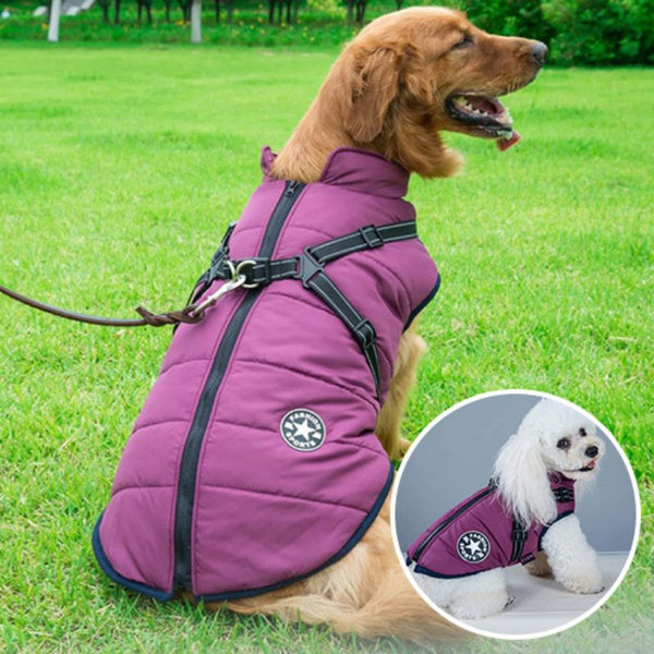 manteau pour chien | Star™