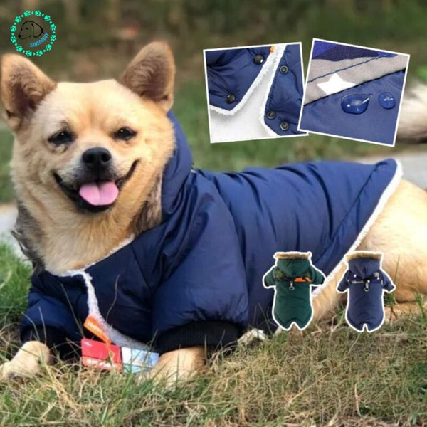 Manteau pour chien I Nicy™