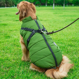 manteau pour chien | Star™