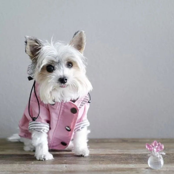 manteau pour chien | jaky™