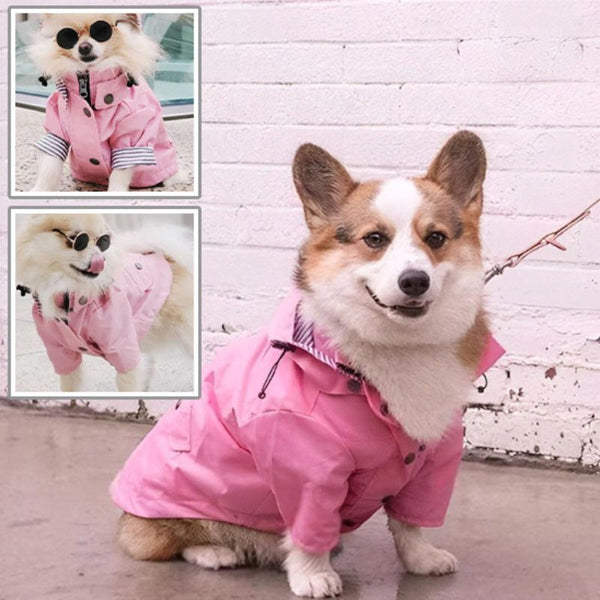 manteau-imperméable-pour-chien