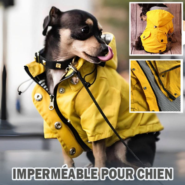 manteau-imperméable-pour-chien