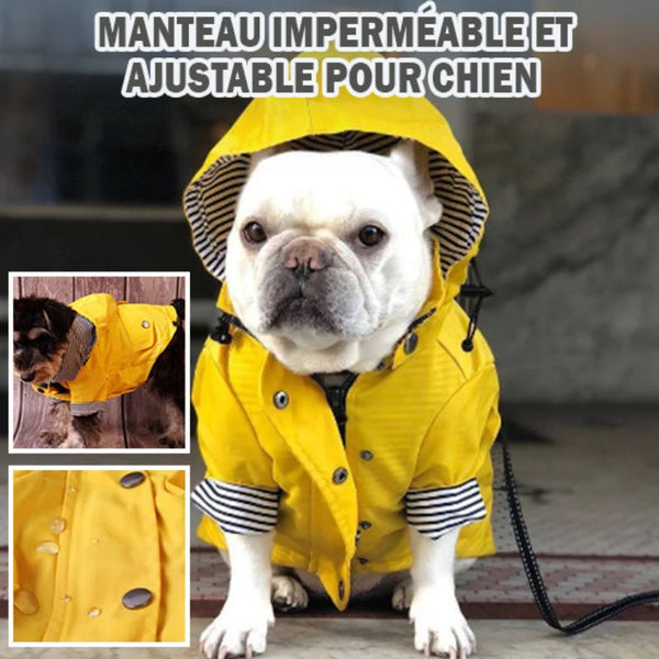 manteau-imperméable-pour-chien