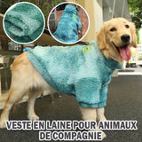 manteau-pour-chien-chaud