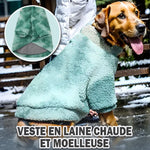 manteau-pour-chien-en-laine