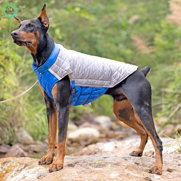 Manteau pour chien | DoggyVeste™