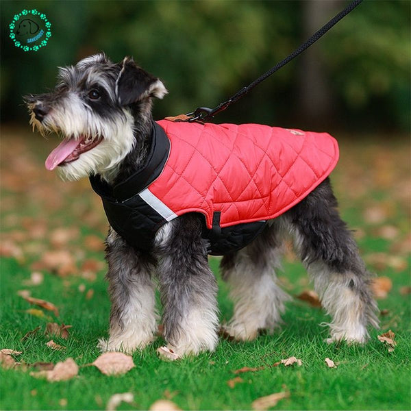 Manteau pour chien | DoggyVeste™