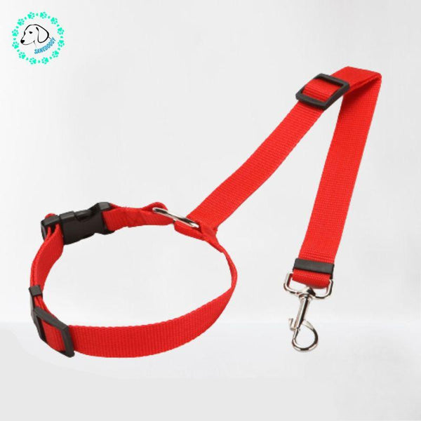  Ceinture-Chien-Voiture-rouge