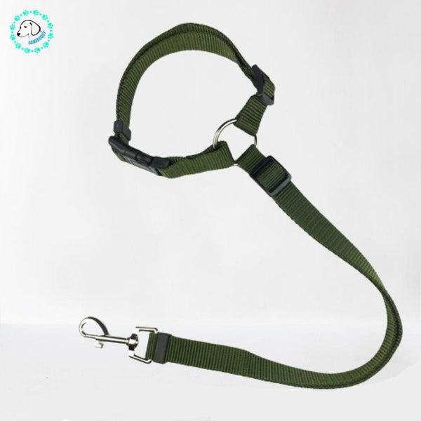  Ceinture-Chien-Voiture-vert