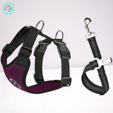 harnais-chien-ceinture-de-sécurité-pour-chien-violet