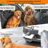 protection-voiture-chien