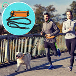 laisse-pour-chien-jogging