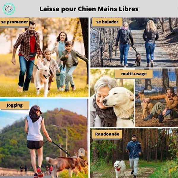 laisse-pour-chien-polyvalente