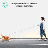 laisse-chien-Rétractable