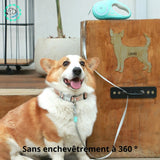 laisse-chien-Sans-enchevêtrement-à-360