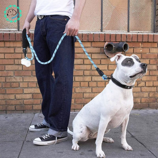 Laisse pour chien | DoggyLaisse™ - SaneDoggy