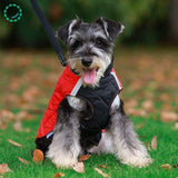 manteau-pour-petit-chien-rouge