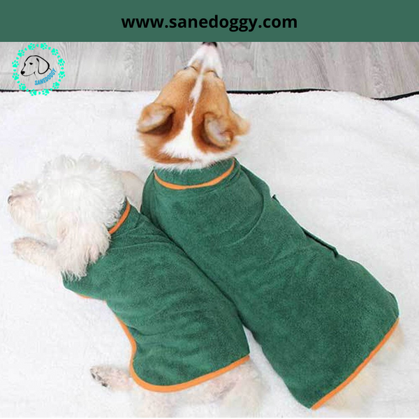 manteau-pour-petit-chien-vert